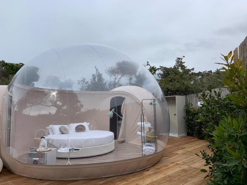 Toskana-Rundreise: Die perfekte Route für 7 Tage 28 Bubble Room Tuscany Zimmer
