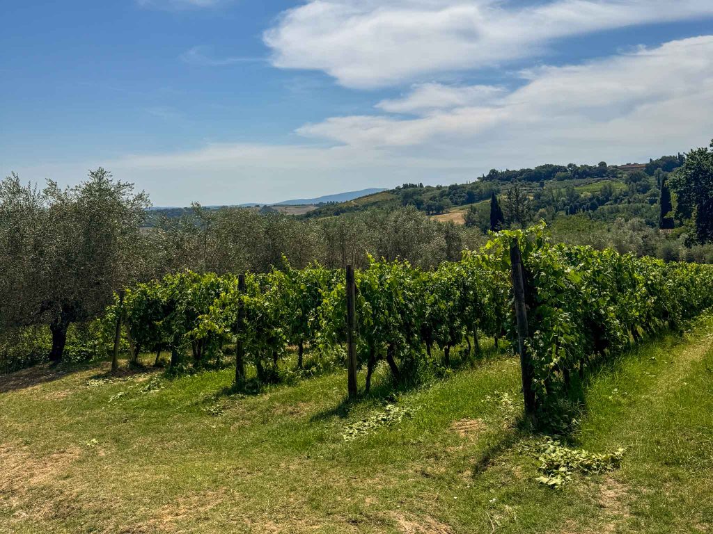 Toskana-Rundreise: Die perfekte Route für 7 Tage 12 Weinberge Toskana