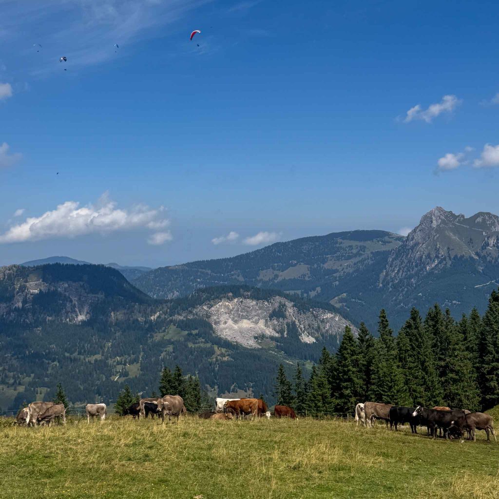 Wandern Neunerköpfle